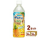 日本サンガリア つぶつぶナタデココ入りパイン 500ml×24本×2ケース (48本)【送料無料※一部地域は除く】