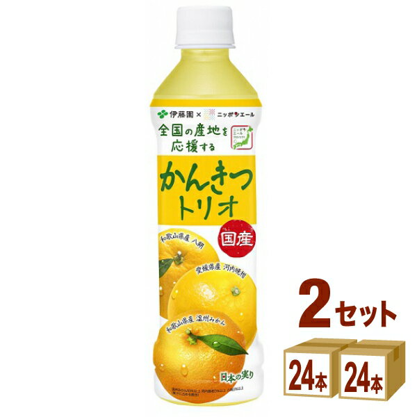 伊藤園 賞味期限2025年11月 ニッポンエール 国産かんきつトリオ 400ml×24本×2ケース (48本)【送料無料※一部地域は除く】のサムネイル