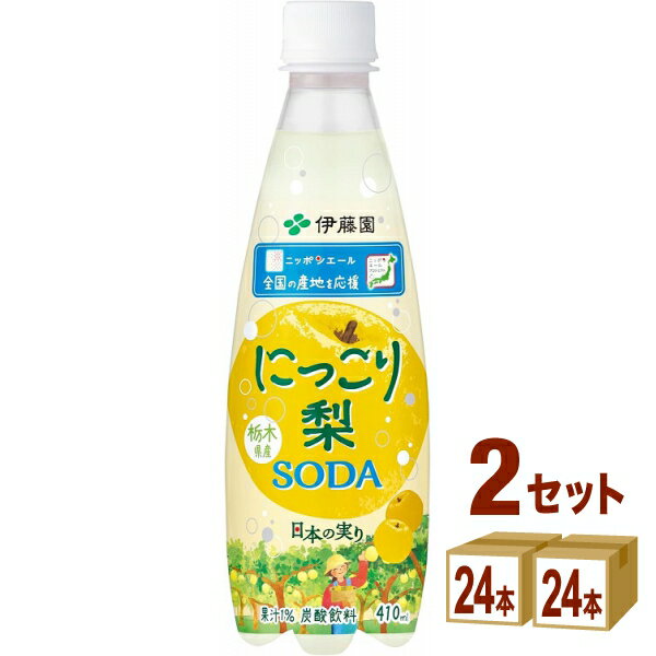 賞味期限2025年12月10日 伊藤園 ニッポンエール 栃木県産にっこり梨ソーダ 410ml×24本×2ケース (48本)【送料無料※一部地域は除く】数量限定 訳あり アウトレットのサムネイル
