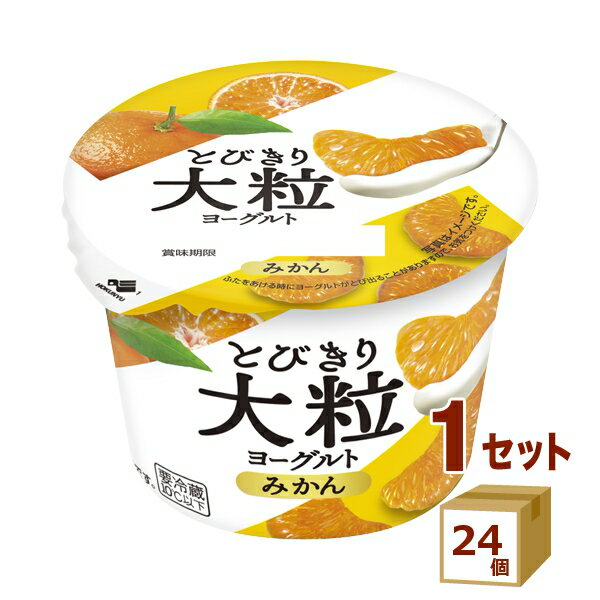 北海道乳業 とびきり大粒ヨーグルト みかん 120g×24個【送料無料※一部地域は除く】