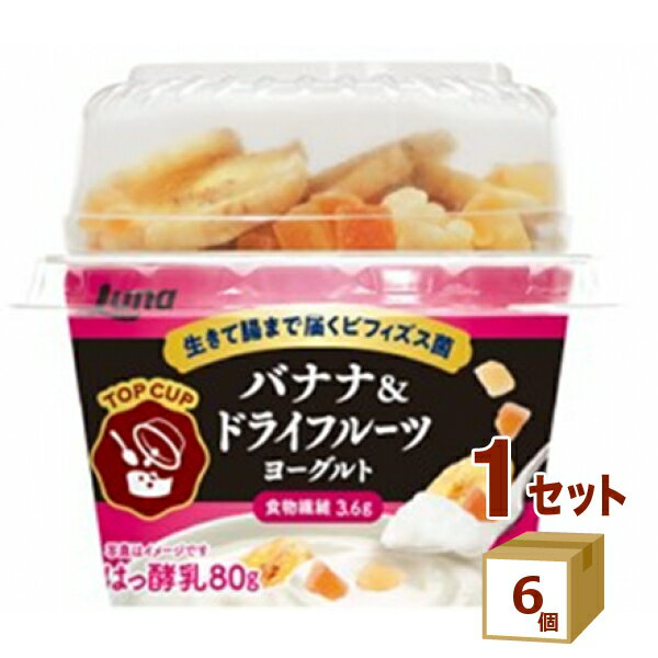 日本ルナ TOPCUP バナナ&ドライフルーツ ヨーグルト 100g×6個【送料無料※一部地域は除く】