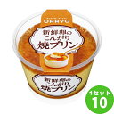 オハヨー乳業チルド 新鮮卵のこんがり焼プリン 140g×10個 食品【送料無料※一部地域は除く】【チルドセンターより直送・同梱不可】【日付指定不可】