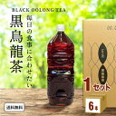 【特売】イズミック黒烏龍茶 ラベ