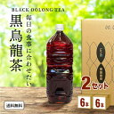 【特売】イズミック黒烏龍茶 ラベルレス 【2L】 2000ml×6本×2ケース (12本) 飲料【送料無料※一部地域は除く】ウーロ…