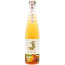 盛田金しゃち酒造 金鯱 グレープフルーツ酒 500ml×1本 リキュール・スピリッツ