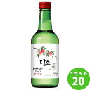 フロンティア物産 DAMSO ダムソ フレーバー焼酎(SOJU) アップル 360ml×20本 リキュール・スピリッツ【送料無料※一部地域は除く】