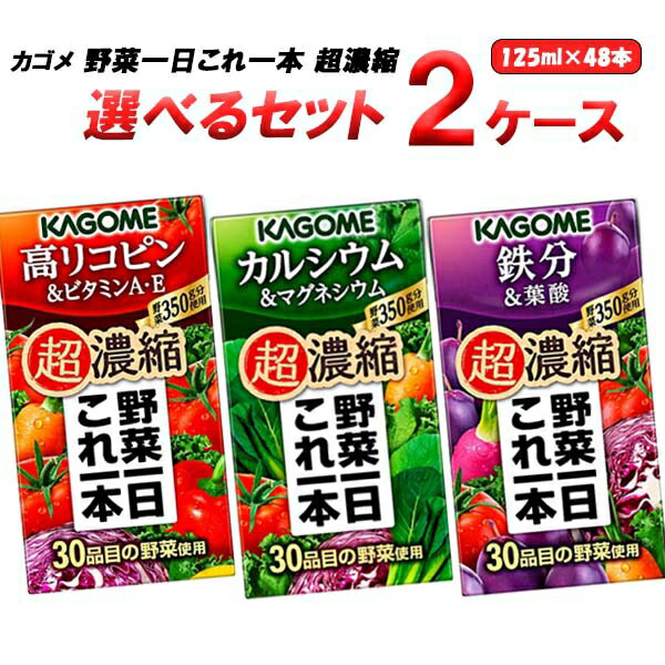 カゴメ 選べる2ケース（48本）野菜一日これ一本 超濃縮 125ml×24本×2ケース (48本) オリジナル【送料無料※一部地域は除く】 野菜ジュース トマトジュース フルーツジュース ビタミン リコピン 鉄分