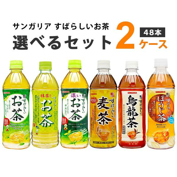 【送料無料】伊藤園 おいしく大豆イソフラボン 黒豆茶 500mlペットボトル 48本(24本×2ケース) カフェインゼロ カロリーゼロ ※北海道800円・東北400円の別途送料加算