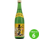 玉乃光 純米吟醸 酒魂 720ml 6本 日本酒【送料無料※一部地域は除く】 玉乃光酒造 京都