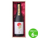 盛田金しゃち酒造 金鯱(金シャチ)大吟醸酒KDー4 愛知県720ml×6本 日本酒【送料無料※一部地域は除く】