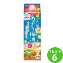 合同酒精 すっぱい あっさり梅酒 1000ml×6本 焼酎【送料無料※一部地域は除く】