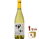 【ポイント10倍】シャンモリ 柑橘香 勝沼甲州 2023 白ワイン 750ml×6本【送料無料※一部地域は除く】 日本ワイン 国産 甲州 盛田甲州ワイナリー
