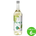 【ポイント10倍】盛田甲州ワイナリー シャンモリからだにやさしい白葡萄 白ワイン 山梨県720 ml×6本 ワイン