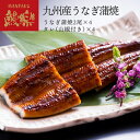 産直発送 宮崎 鰻楽 九州産 うなぎ蒲焼 ギフト【チルドセンターより直送・同梱不可】国産うなぎ 蒲焼き ウナギ 内祝い 出産祝い 誕生日祝い お礼 お見舞い お祝い お中元 お歳暮 プレゼント グルメ お取り寄せグルメ 人気【日付指定不可】(4)