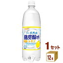 日本サンガリア 伊賀の強炭酸水レモン 1000ml×12本×1ケース (12本)【送料無料※一部地域は除く】