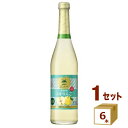 【季節限定品】 アサヒ ニッカ シードル トキりんご 500ml×6本 ワイン【送料無料※一部地域は除く】 シードル 林檎 りんごのお酒 炭酸 スパークリング 生シードル スパークリングワイン 糖類・香料不使用