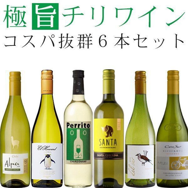 ワイン飲み比べセット 【ソムリエが選んだ】 ワインセット 白 チリワイン（シャルドネ主体）飲み比べ 6本セット wine set【送料無料※一部地域は除く】