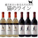 neco ネコ 猫 ワイン 赤 白 選べる 6本セット ワイン 720ml×6本 ワイン【一部地域を除き送料無料】 よりどり 猫好き プレゼント おすすめ