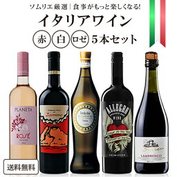 【ソムリエが選んだ】イタリア飲み尽くし 極上 ワインセット 5本 赤 白 ロゼ マリアージュ 飲み比べ【送料無料※一部地域は除く】 バラエティ 食事と合わせる 白辛口 ランブルスコ プリミティーヴォ ヤンモロッソ ヴェルディッキオ プラネタ 福袋 ギフト お買い得