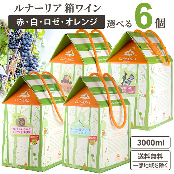 選べる箱ワイン ルナーリア 3L 3000ml × 6箱 【送料無料※一部地域は除く】 赤ワイン 白ワイン ロゼワイン オレンジワイン ビオディナミ ナチュール BIB バックインボックス 大容量 持ち運び ひも付き 家 動物 自然派　 オーガニック