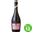 ofBrG\ ubg [ 750ml ~12{ `/Zg @[ Cyꕔn͏z Valdivieso Brut Rose Xp[NO