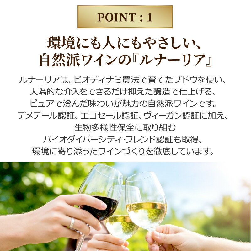 選べる箱ワイン ルナーリア 3L 3000ml × 1箱 【送料無料※一部地域は除く】 赤ワイ...