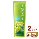 ゴールドパック ニッポン NIPPON フルーツバー 山梨 シャインマスカット パウチ 凍らせ シャーベット 80ml×20本×2ケース (40本) 【送料無料...