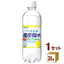 訳あり 賞味期限 2024年6月11日 日本サンガリア 伊賀の天然水 強炭酸水 グレープフルーツ 500ml 24本 1ケース 24本 飲料【送料無料※一部地域は除く】