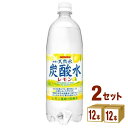 日本サンガリア 伊賀の天然水 炭酸水 レモン 1000ml 1L ×24本(個) 飲料【送料無料※一部地域は除く】