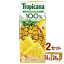 トロピカーナ 100％ パインアップル 250ml 紙(LLスリム)250 ml×24本×2ケース (48本) 飲料【送料無料※一部地域は除く】