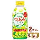 日本サンガリア つぶみ 白ぶどう 380ml×24本×2ケース (48本) 飲料【送料無料※一部地域は除く】