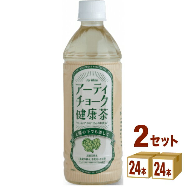 奥長良川名水 アーティチョーク 健康茶 500ml×24本×2ケース (48本) 飲料【送料無料※一部地域は除く】