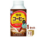 雪印コーヒー HANDY TYPE ハンディータイプ 230ml×12本 雪印メグミルク 飲料【送料無料※一部地域は除く】【チルドセンターより直送・同梱不可】