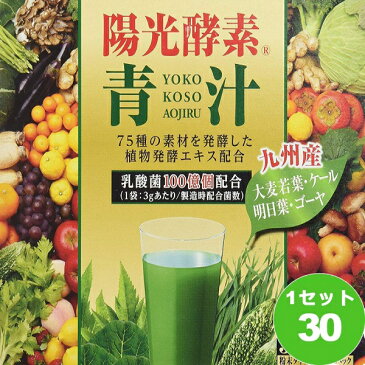 新日配薬品 陽光酵素青汁乳酸菌入り（3g×30袋） ×30本（個） 食品