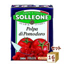 ソルレオーネ ダイス トマト テトラ 紙パック カットトマト 390g×16箱【送料無料※一部地域は除く】トマト缶 トマトソース パスタソース