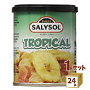 訳あり 賞味期限2025年4月 SALYSOL サリソル トロピカルフルーツカクテル ドライフルーツ おつまみ 缶詰 45g×24本 食品【送料無料※一部地域は...