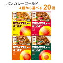 訳あり 在庫滞留品のため 選べる 20食 大塚食品 ボンカレー 10食×2種 【送料無料※一部地域は除く】レンジ レトルト 辛口 中辛 大辛 甘口 カレー アソート レンジ調理対応 常備食 まとめ買い 賞味期限2026年5月30日以降