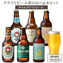 コエドビール ビール 厳選 クラフトビール IPA & ホワイトビール 飲み比べ 330ml 6本 セット【送料無料※一部地域は除く】コエド 瑠璃 白 常陸野ネスト 金しゃちビール 瓶 景品 お土産 詰め合わせ ギフト 常温 瓶 地ビール