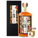 沢の鶴（兵庫） 1990年 古酒仕込み 梅酒 金箔入り 箱付き 720ml×6本 リキュール・スピリッツ【送料無料※一部地域は除く】