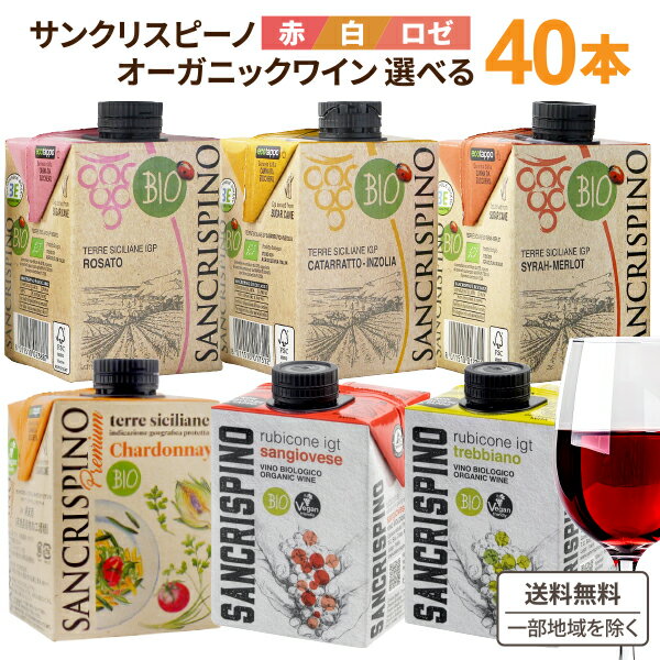 訳あり 選べる サンクリスピーノ プレミアム オーガニック 500ml×40本　赤 白 パック 紙パック ワイン リキャップ 白ワイン イタリア 【送料無料※一部地域は除く】5L SDGS BBQ ビアンコ 小さい カベルネソーヴィニヨン シャルドネ 赤ワイン アソート 紅白 チェヴィコ