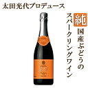 【数量限定】 Sunday Japon 324 サンデージャポン ミツヨ 長野メルロー スパークリング 2022 太田光代プロデュース 日本 赤ワイン 720ml×12本 ワイン【送料無料※一部地域は除く】 【2022年11月20日発売】 サンジャポ 日本ワイン 泡 最新ヴィンテージ メルロー