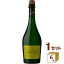 サクラアワードダブルゴールド受賞 コノスル スパークリングワイン ブリュット Cono Sur Sparkling Wine Brut 750ml×6本【送料無料※一部地域は除く】(4)