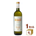 ボルゴ サヴァイアン オレンジワイン アランサット サクラアワード金賞 750ml×6本 ワイン【送料無料※一部地域は除く】【取り寄せ品　メーカー在庫次第となります】