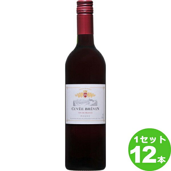 盛田トレーディング キュヴェ ブレヴァンヴァン ルージュ フランス/ロワール 750ml ×12本(個) ワイン