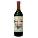 【6本まで同一送料】盛田甲州ワイナリー おいしい 甘口 赤わいん(無添加) 山梨県 720ml ×1本(個)