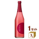 数量限定 ニッカ ジャパンシードル JAPAN CIDRE 2023 720ml×3本リンゴ お酒【送料無料※一部地域は除く】 シードル