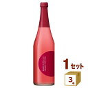 数量限定 ニッカ ジャパンシードル JAPAN CIDRE 2023 720ml×3本リンゴ お酒【送料無料※一部地域は除く】