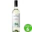 D.O.C.˥ ƥƥå ZONIN VENTITERRE SOAVE 750ml 6 ꥢ ͥ - 磻̵ϰϽ