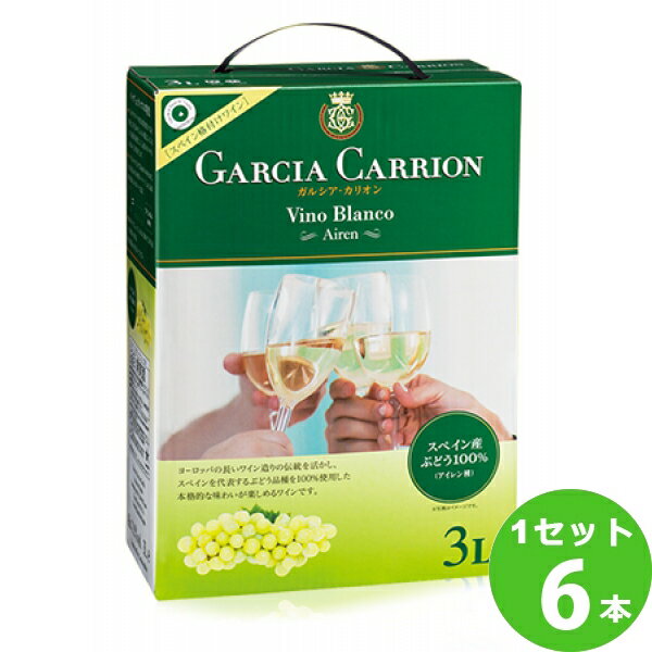 ガルシア カリオンガルシア カリオン アイレン〈白〉GarciaCarrionAirenwhite 3000 紙パック ×6本 スペイン ビール ワイン