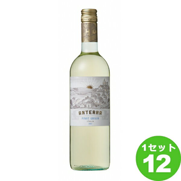 ڥȥ꡼P5ܡۥåĥ ʥ ƥå ԥ ꡼ Anterra Pinot Grigio 750ml 12 ...